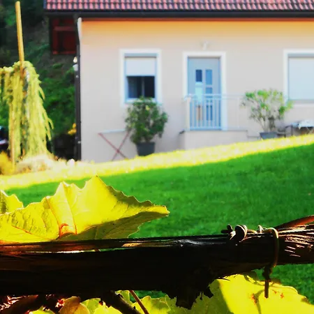 Karin Am Seggauberg *