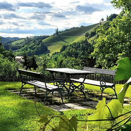 Karin Am Seggauberg Leibnitz