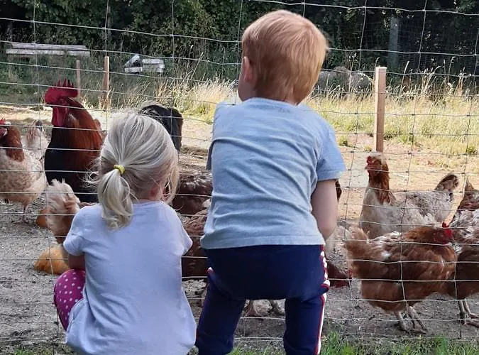 Karin Am Seggauberg Appartement *