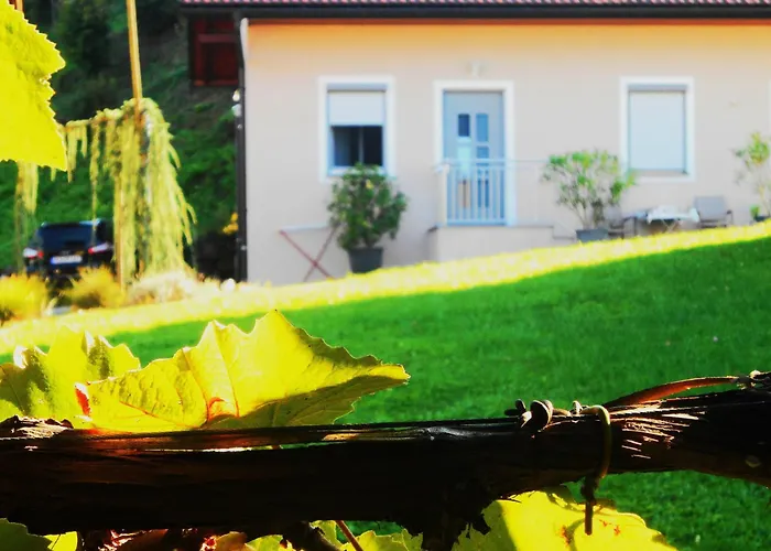 Karin Am Seggauberg *